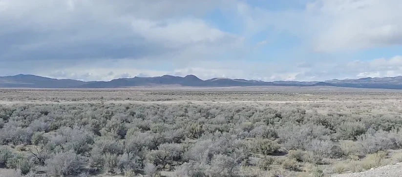 Buying Elko County, NV Land