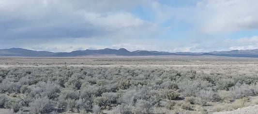 Buying Elko County, NV Land