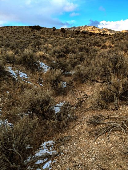 Escape to Your Own 10-Acre Retreat in Elko County, NV – Where Freedom Meets Adventure!