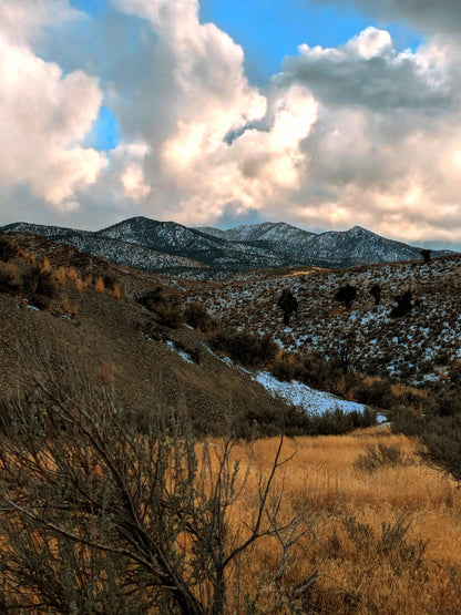 Escape to Your Own 10-Acre Retreat in Elko County, NV – Where Freedom Meets Adventure!