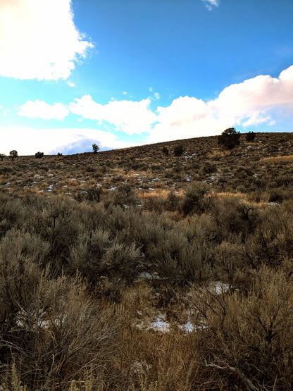 Escape to Your Own 10-Acre Retreat in Elko County, NV – Where Freedom Meets Adventure!