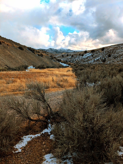 Escape to Your Own 10-Acre Retreat in Elko County, NV – Where Freedom Meets Adventure!