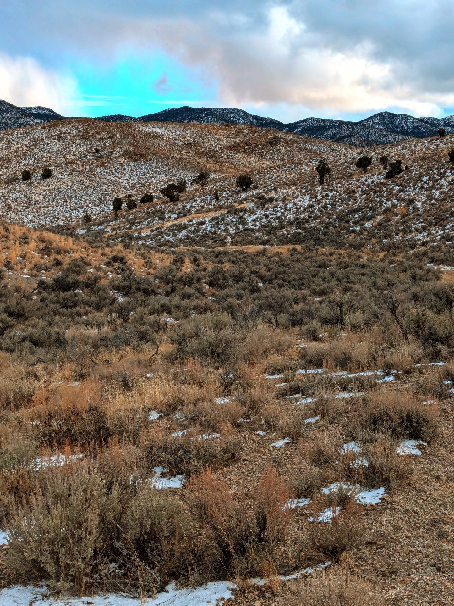 Escape to Your Own 10-Acre Retreat in Elko County, NV – Where Freedom Meets Adventure!