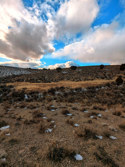 Escape to Your Own 10-Acre Retreat in Elko County, NV – Where Freedom Meets Adventure!