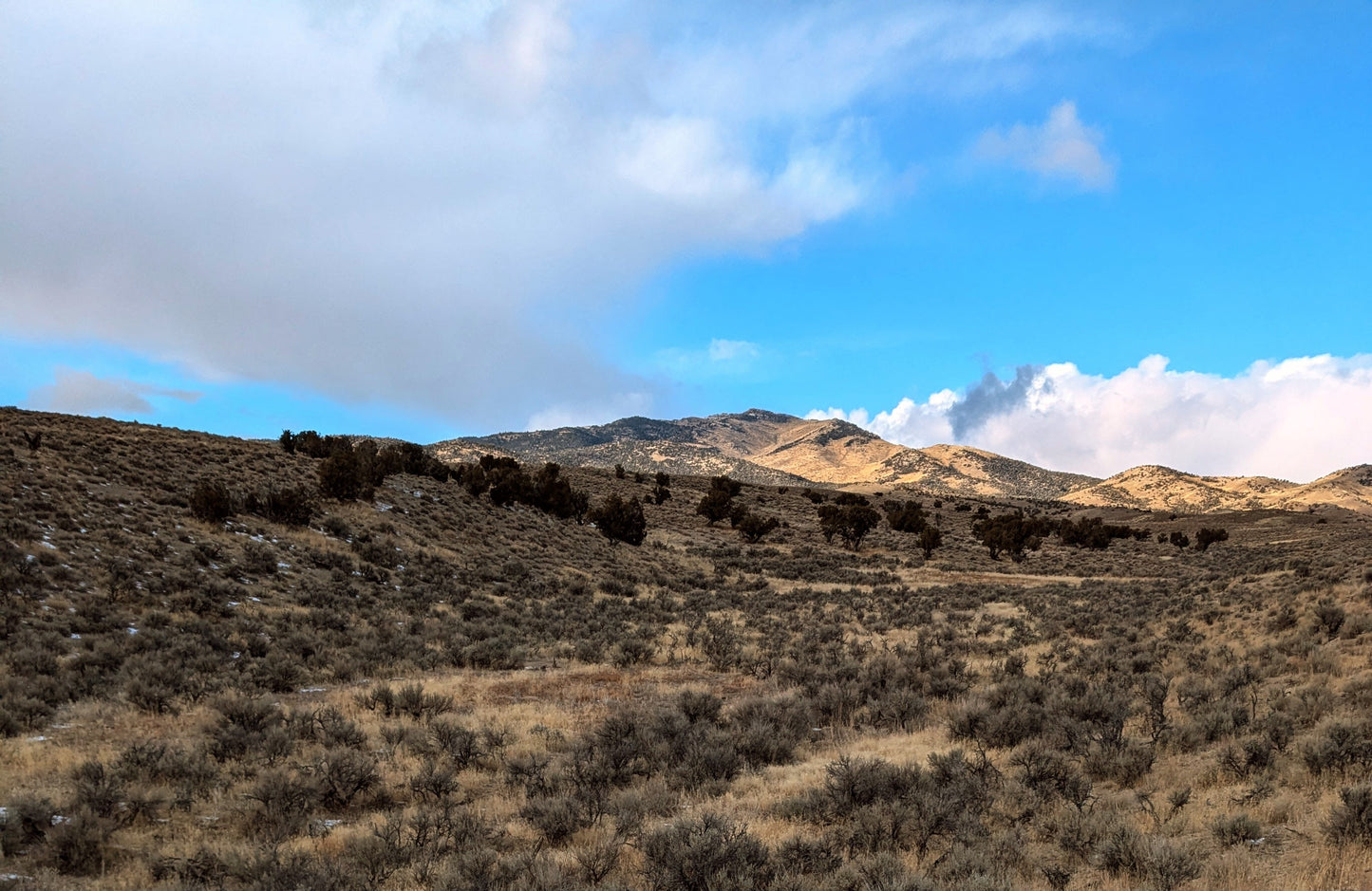 Escape to Your Own 10-Acre Retreat in Elko County, NV – Where Freedom Meets Adventure!