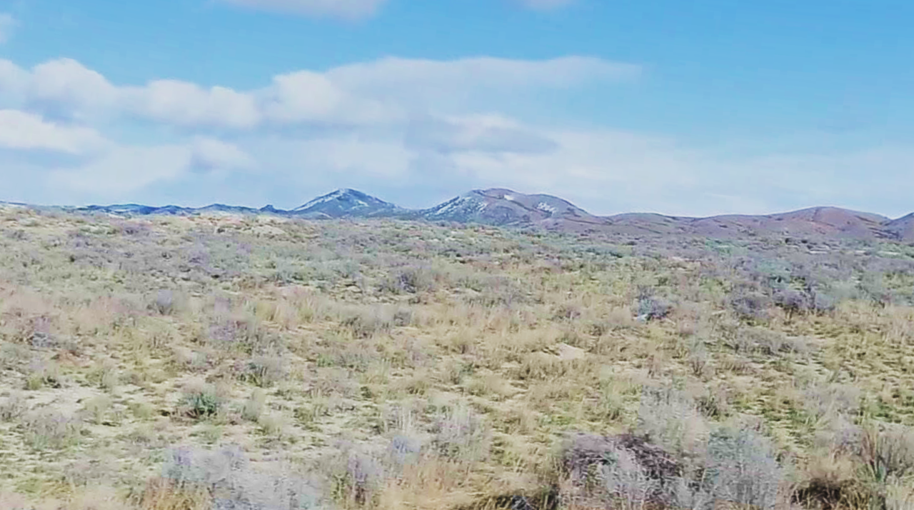 Land Seekers Rejoice: 10.76 Acres in Elko, NV $235/Mo 