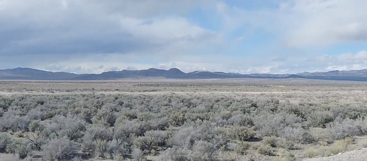 Special Stability: 10 Acres in Montello, NV $235/Mo