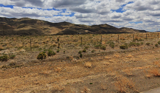 Gorgeous Getaway: 1.03 Acres in Elko, NV! $145/Mo