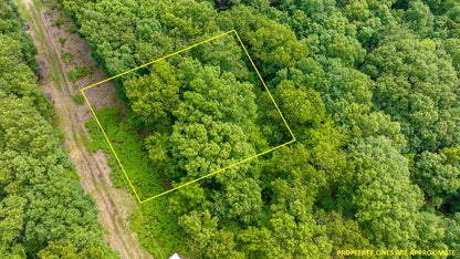 0.23 Acres in Ivy Bend – Perfect for Your Dream Home!