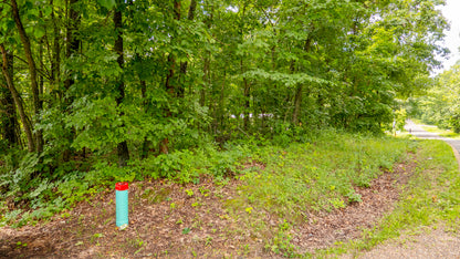 Charming 0.22-Acre Lot Near Lake of the Ozarks