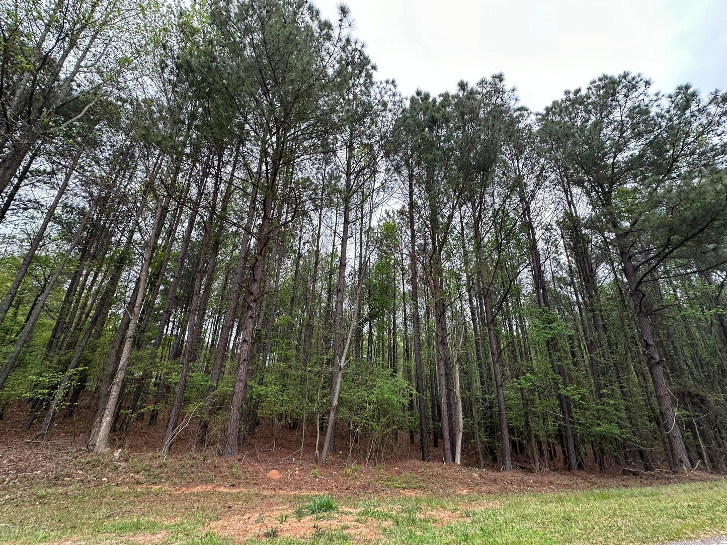 6.65 Acre Residential Lot