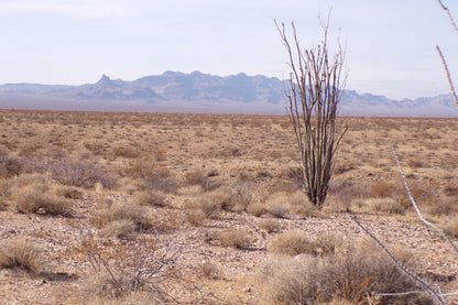 At Last A Rock Hounds Dream Escape in Mohave County, AZ!