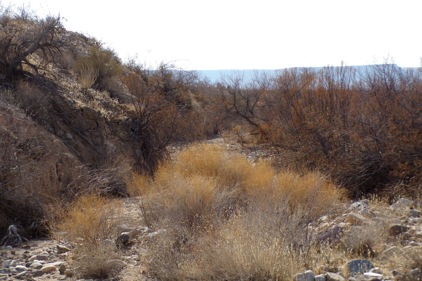 At Last A Rock Hounds Dream Escape in Mohave County, AZ!