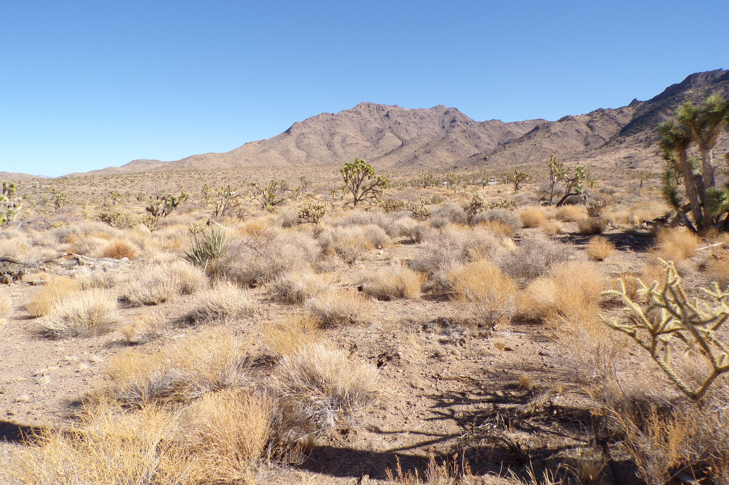 Desert Freedom Calls: Power-Ready 1.07 Acres in Mohave County