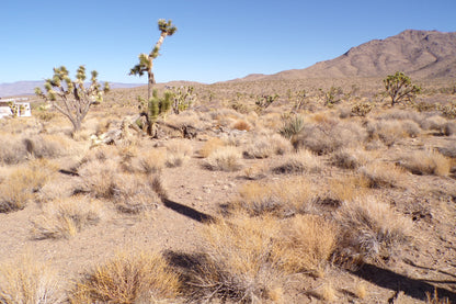 Desert Freedom Calls: Power-Ready 1.07 Acres in Mohave County