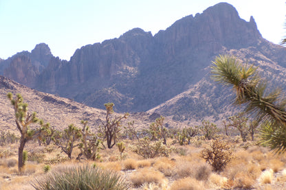 Desert Freedom Calls: Power-Ready 1.07 Acres in Mohave County