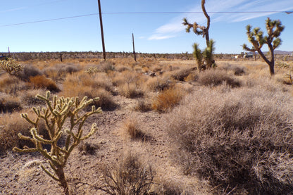 Desert Freedom Calls: Power-Ready 1.07 Acres in Mohave County