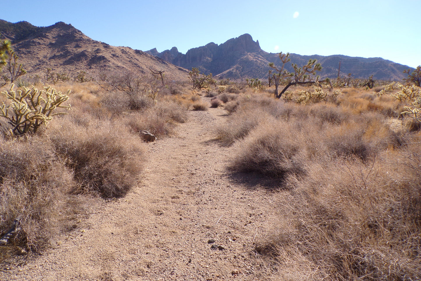 Desert Freedom Calls: Power-Ready 1.07 Acres in Mohave County