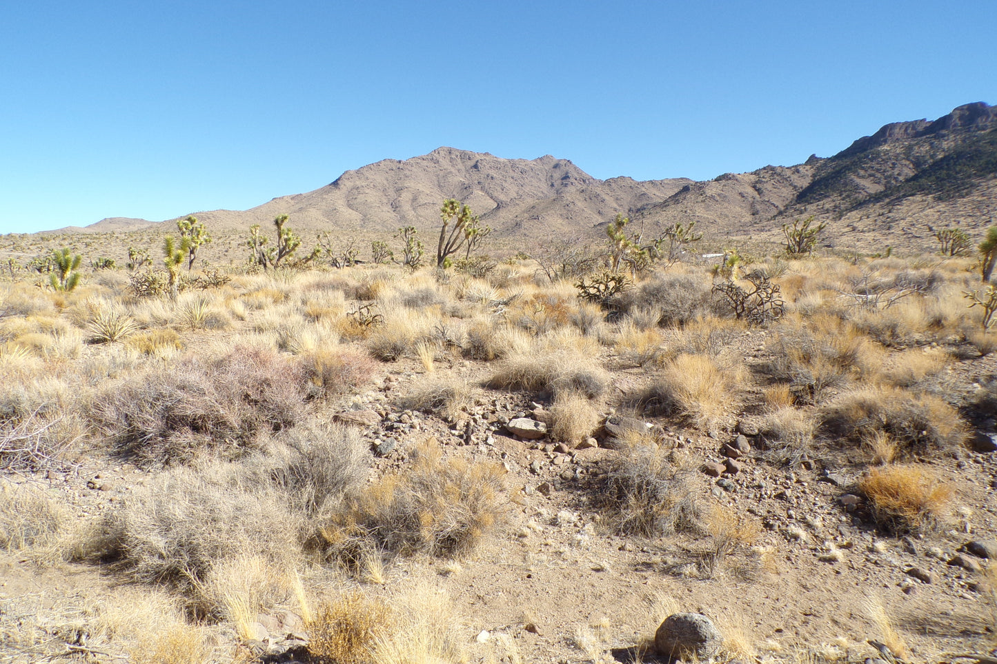 Desert Freedom Calls: Power-Ready 1.07 Acres in Mohave County