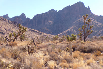 Desert Freedom Calls: Power-Ready 1.07 Acres in Mohave County