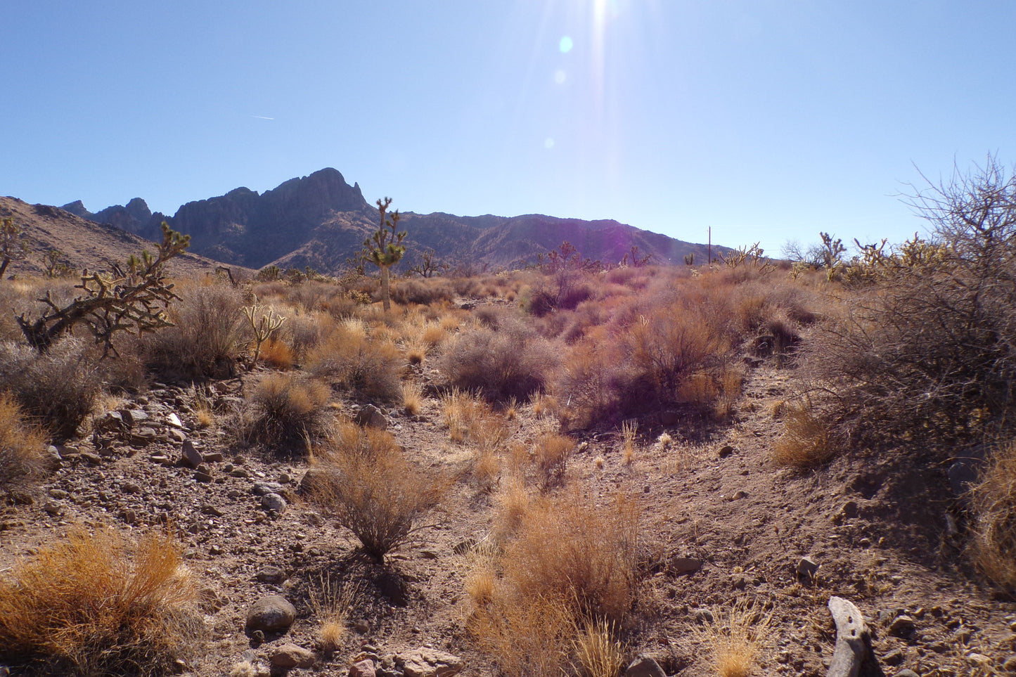 Desert Freedom Calls: Power-Ready 1.07 Acres in Mohave County