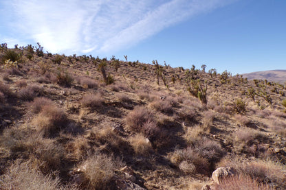 Ever Had a Perfect Camping Spot… Until Some Stranger Rolled Up Next to You?