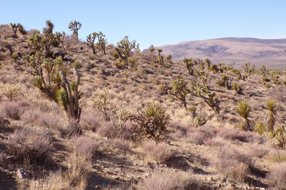 Ever Had a Perfect Camping Spot… Until Some Stranger Rolled Up Next to You?