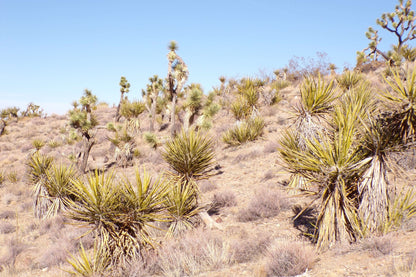 Ever Had a Perfect Camping Spot… Until Some Stranger Rolled Up Next to You?