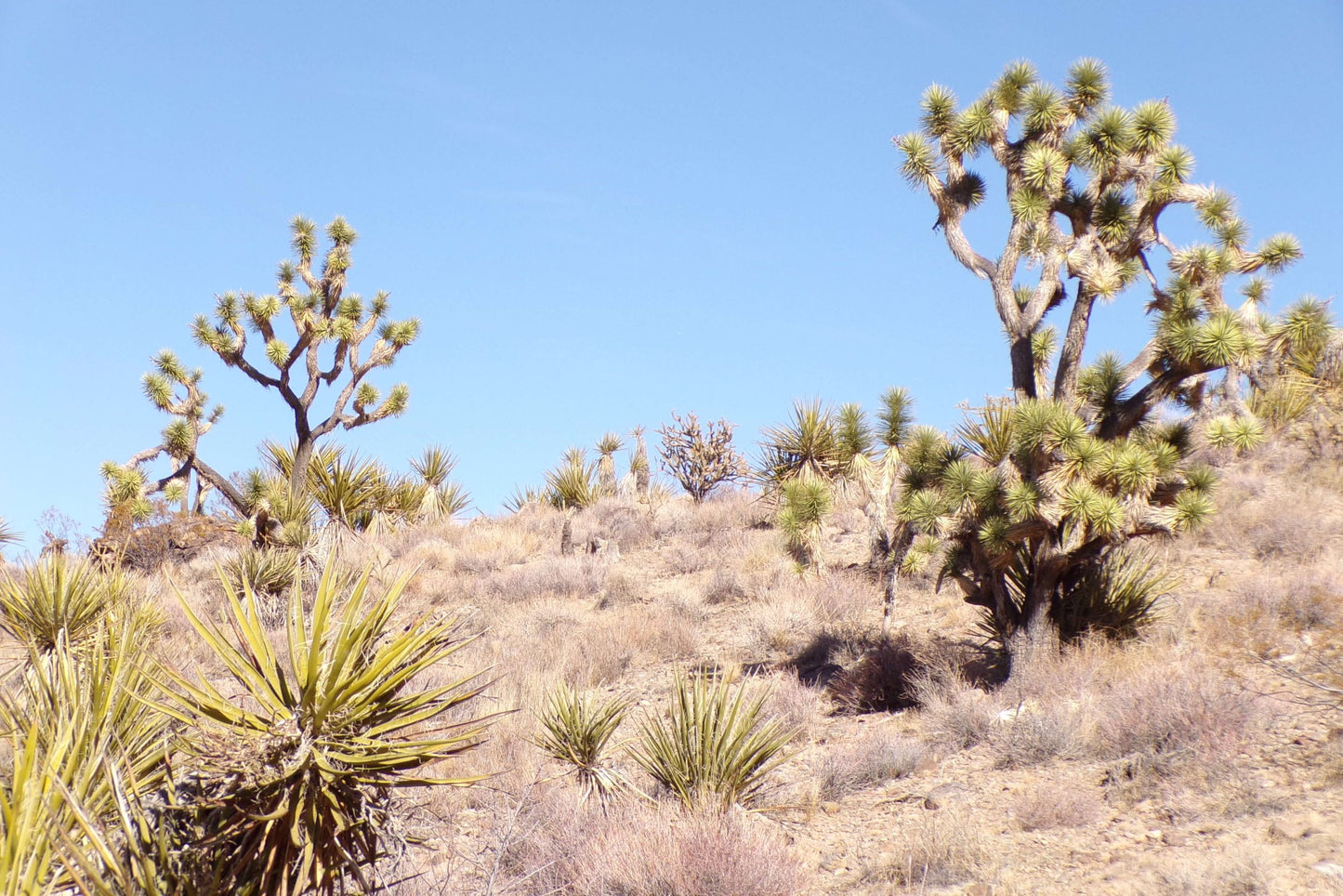 Ever Had a Perfect Camping Spot… Until Some Stranger Rolled Up Next to You?