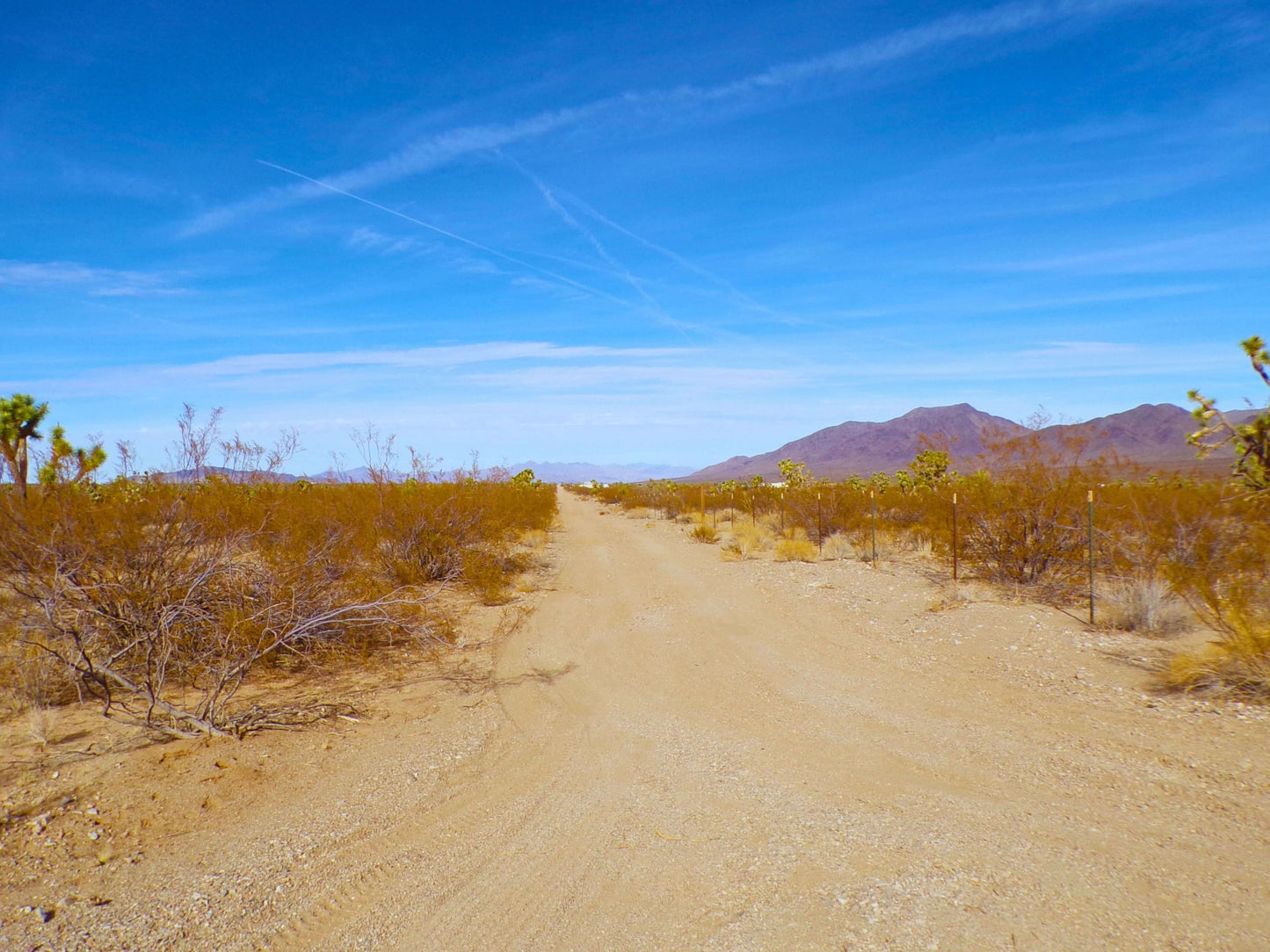 Finally… A Desert Dream Lot Where You Can Build the HOME You’ve Always Wanted – And It Won’t Break the Bank.