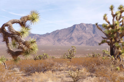 Finally… A Desert Dream Lot Where You Can Build the HOME You’ve Always Wanted – And It Won’t Break the Bank.