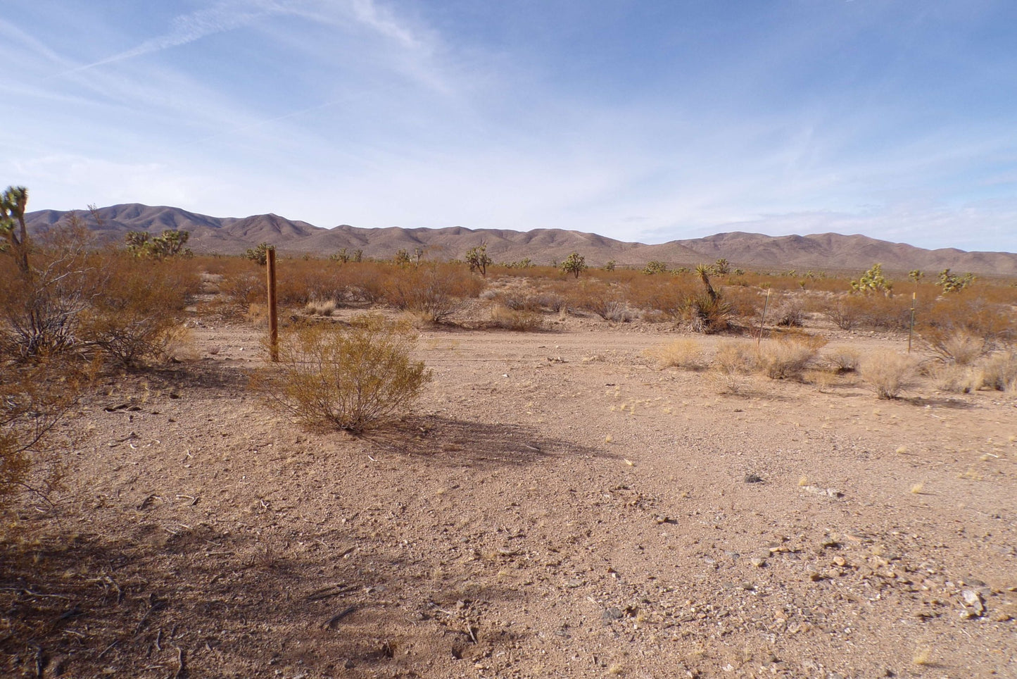 Finally… A Desert Dream Lot Where You Can Build the HOME You’ve Always Wanted – And It Won’t Break the Bank.