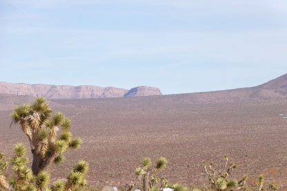 Finally… A Desert Dream Lot Where You Can Build the HOME You’ve Always Wanted – And It Won’t Break the Bank.