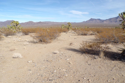 Finally… A Desert Dream Lot Where You Can Build the HOME You’ve Always Wanted – And It Won’t Break the Bank.