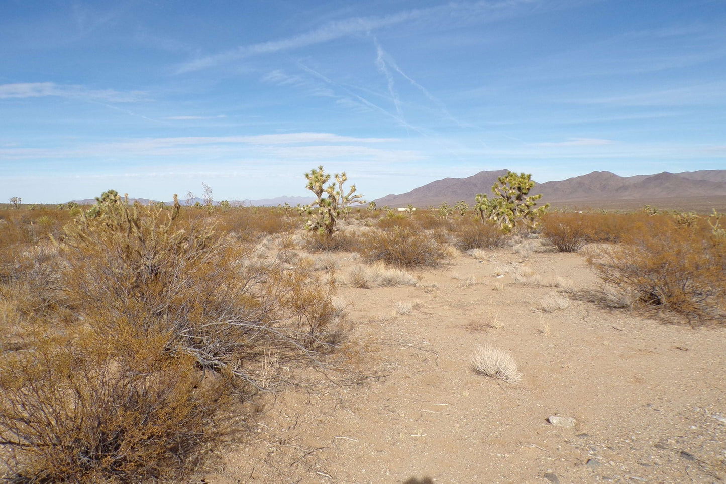 Finally… A Desert Dream Lot Where You Can Build the HOME You’ve Always Wanted – And It Won’t Break the Bank.