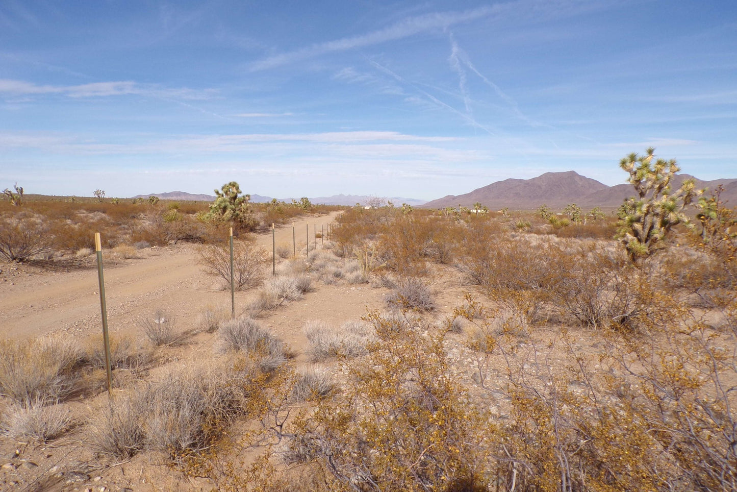 Finally… A Desert Dream Lot Where You Can Build the HOME You’ve Always Wanted – And It Won’t Break the Bank.