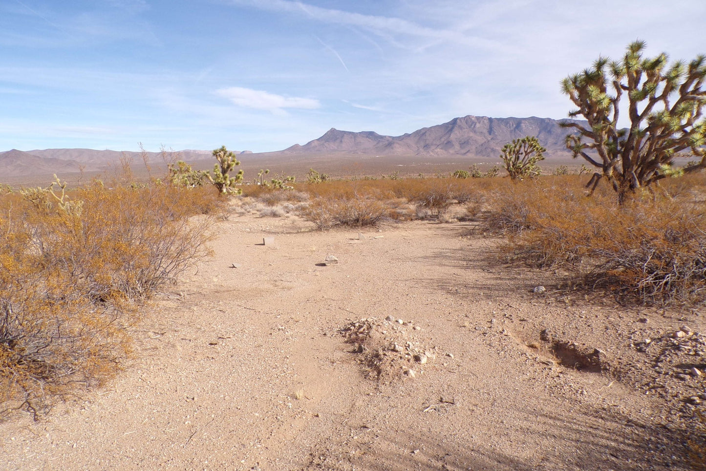 Finally… A Desert Dream Lot Where You Can Build the HOME You’ve Always Wanted – And It Won’t Break the Bank.