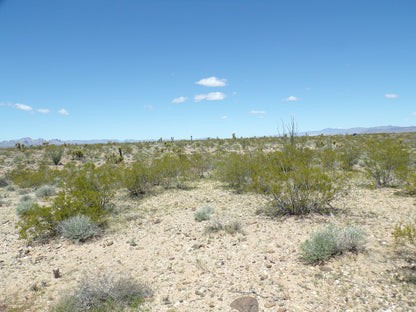 Retire with Your Boots Up: Relax on 5 Mohave Acres!