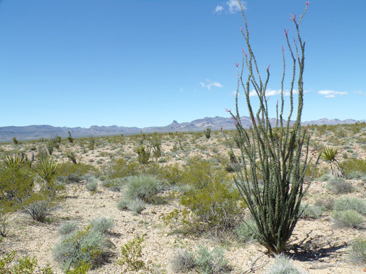 Retirement Reimagined: 2.5 Acres of Pristine Mohave County Land!