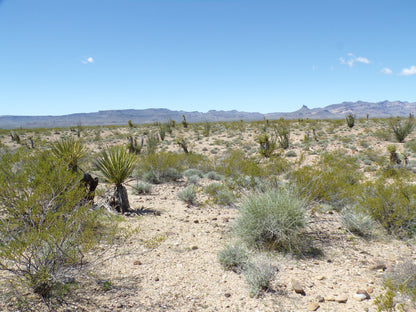 Retire with Your Boots Up: Relax on 5 Mohave Acres!