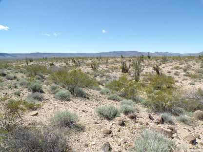 Retire with Your Boots Up: Relax on 5 Mohave Acres!