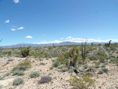 Retire with Your Boots Up: Relax on 5 Mohave Acres!