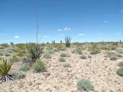 Retire with Your Boots Up: Relax on 5 Mohave Acres!