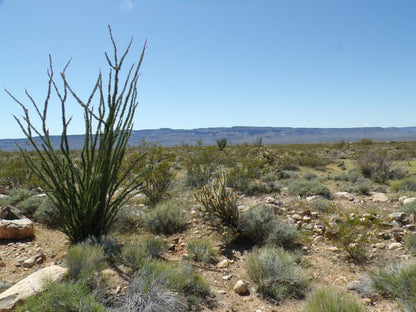 Your Desert Dream Home Awaits! Build Your Perfect Oasis on This Beautiful Arizona Land Starting Today