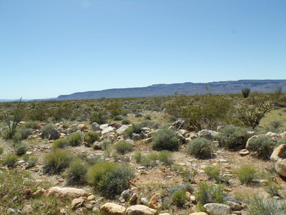 Your Desert Dream Home Awaits! Build Your Perfect Oasis on This Beautiful Arizona Land Starting Today