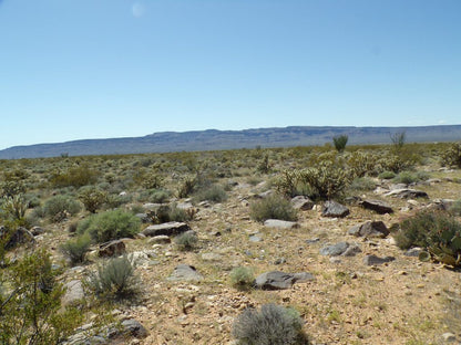 Your Desert Dream Home Awaits! Build Your Perfect Oasis on This Beautiful Arizona Land Starting Today