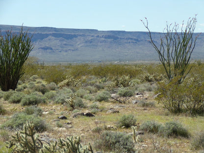 Your Desert Dream Home Awaits! Build Your Perfect Oasis on This Beautiful Arizona Land Starting Today