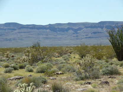 Your Desert Dream Home Awaits! Build Your Perfect Oasis on This Beautiful Arizona Land Starting Today