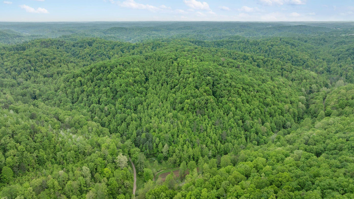 Own a Piece of Nature: 37 Acres in Sandgap, KY