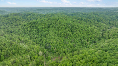 Own a Piece of Nature: 37 Acres in Sandgap, KY